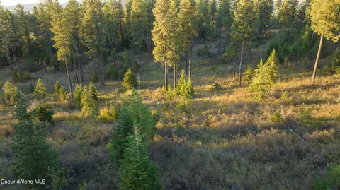 4 Us 95, Plummer, ID 83851 photo 23
