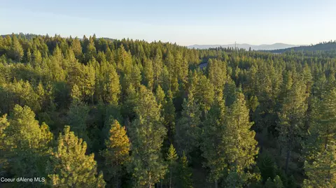 4 Us 95, Plummer, ID 83851 photo 18