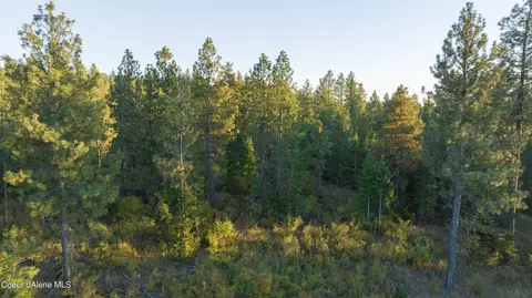 4 Us 95, Plummer, ID 83851 photo 15