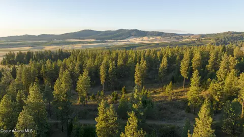 4 Us 95, Plummer, ID 83851 photo 22