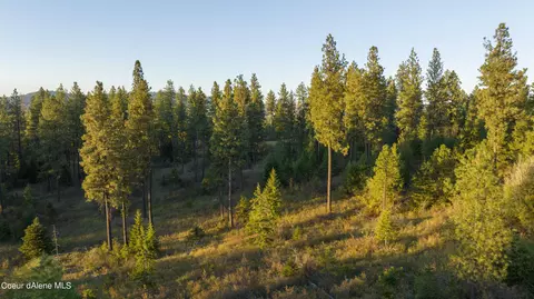 4 Us 95, Plummer, ID 83851 photo 24
