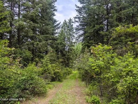 Nka Benewah Creek Rd 13.3 Acres, Saint Maries, ID 83861