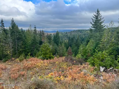 2301 W Ridge Dr, Saint Maries, ID 83861