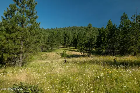 Parcel 14 Sunflower Drive Santa Creek Estates, Saint Maries, ID 83861