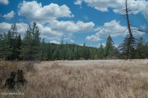 Nka 17 Acres S Dunlap Rd, Harrison, ID 83833 photo 16