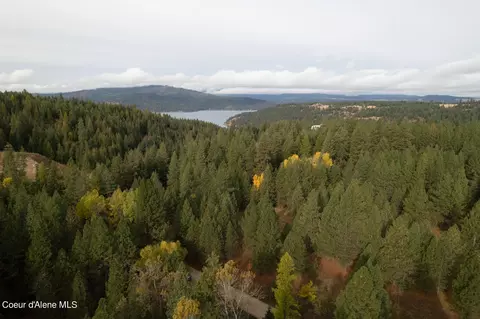 Nka 17 Acres S Dunlap Rd, Harrison, ID 83833 photo 3