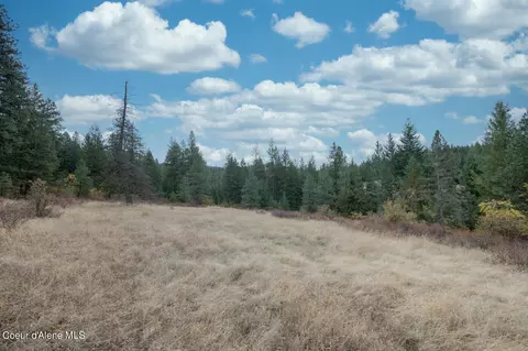 Nka 17 Acres S Dunlap Rd, Harrison, ID 83833 photo 17