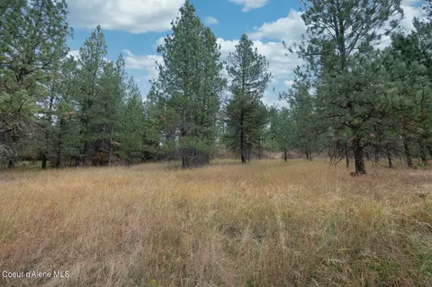 Nka 17 Acres S Dunlap Rd, Harrison, ID 83833 photo 15