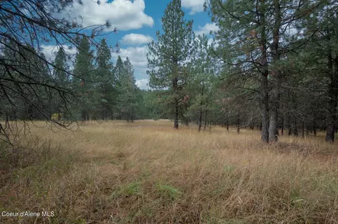 Nka 17 Acres S Dunlap Rd, Harrison, ID 83833 photo 14