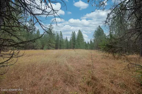 Nka 17 Acres S Dunlap Rd, Harrison, ID 83833 photo 18