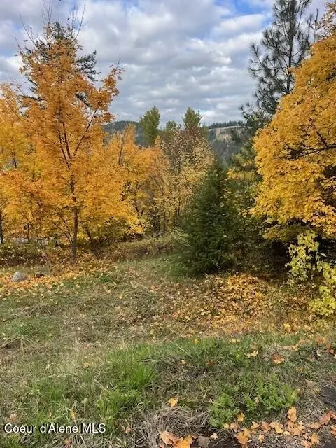 Nna Ora Ave, Saint Maries, ID 83861