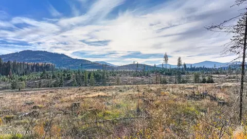 1382 Copperhead Ln, Santa, ID 83866 photo 10