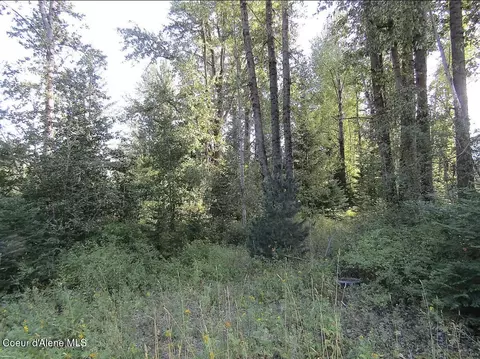 4774 Upper Pack River Rd, Sandpoint, ID 83864 photo 14