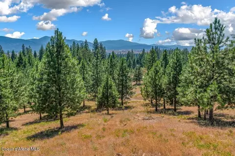 Nna W Hollister Hills Dr, Hauser, ID 83854