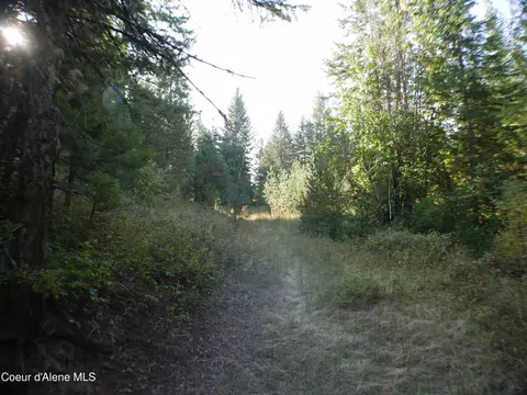 Mutch Creek Road, Saint Maries, ID 83861