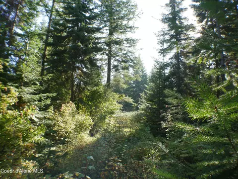 Mutch Creek Road, Saint Maries, ID 83861