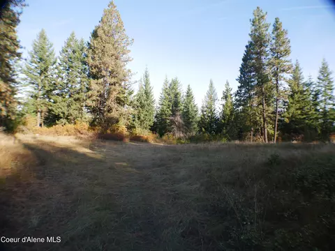 Mutch Creek Road, Saint Maries, ID 83861