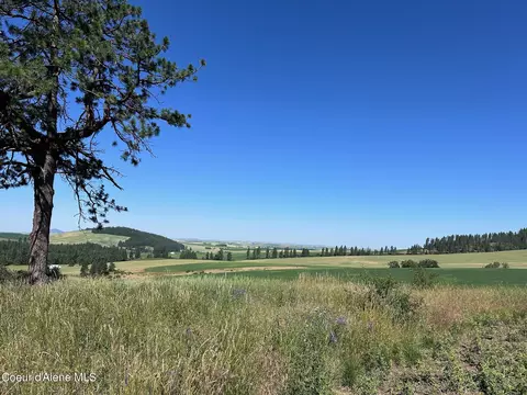 2000 Pine Creek Rd, De Smet, ID 83824