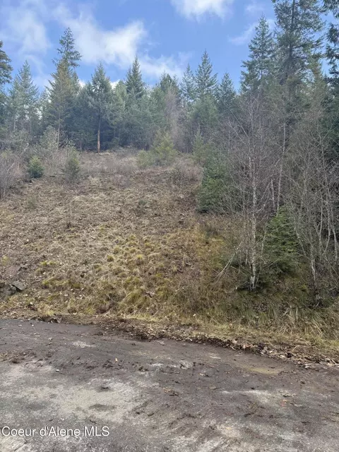 4 West Harrison Street, Harrison, ID 83833 photo 2