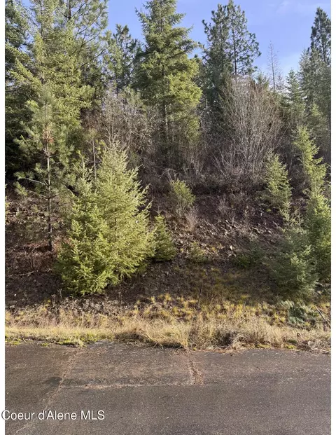 L15b1 Johnson Meadows Estates, Harrison, ID 83833