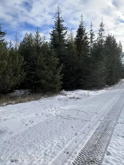 Nka Forsgren Lane Lot 4, Athol, ID 83801