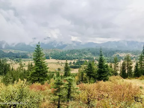 Parcel 22 Carpenter Creek Road, Fernwood, ID 83830