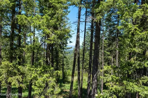 Nna C22 Trappers Loop, Sandpoint, ID 83864 photo 9
