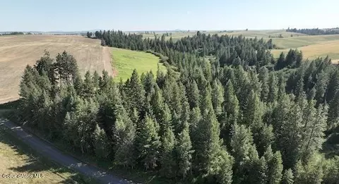 Tbd Stolte Canyon Rd, Peck, ID 83545