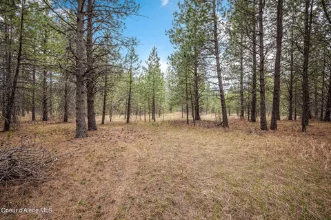 Nka E Hwy 54, Athol, ID 83801
