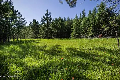 2755 Usfs Rd 2295, Clark Fork, ID 83811 photo 44