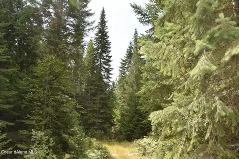 2755 Usfs Rd 2295, Clark Fork, ID 83811 photo 35