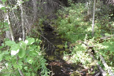 2755 Usfs Rd 2295, Clark Fork, ID 83811 photo 33