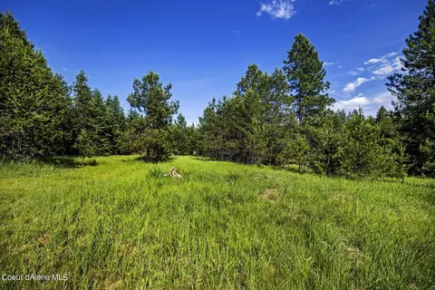 2755 Usfs Rd 2295, Clark Fork, ID 83811 photo 42