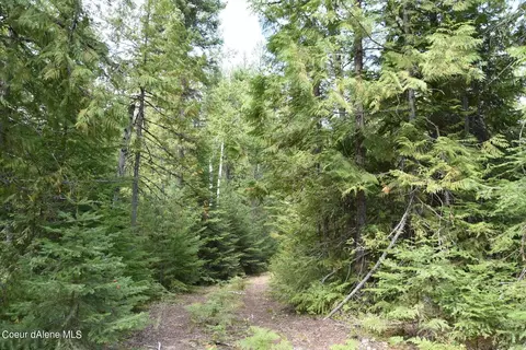 2755 Usfs Rd 2295, Clark Fork, ID 83811 photo 37