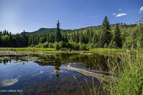 2755 Usfs Rd 2295, Clark Fork, ID 83811 photo 20