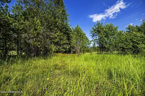 2755 Usfs Rd 2295, Clark Fork, ID 83811 photo 38