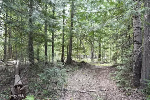 2755 Usfs Rd 2295, Clark Fork, ID 83811 photo 39
