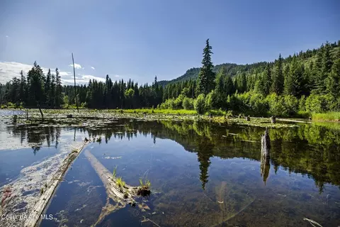 2755 Usfs Rd 2295, Clark Fork, ID 83811 photo 5