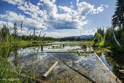 2755 Usfs Rd 2295, Clark Fork, ID 83811 photo 10