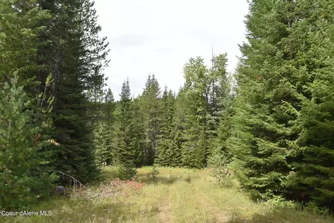 2755 Usfs Rd 2295, Clark Fork, ID 83811 photo 40