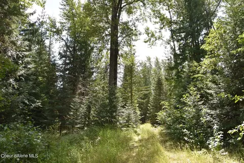 2755 Usfs Rd 2295, Clark Fork, ID 83811 photo 34