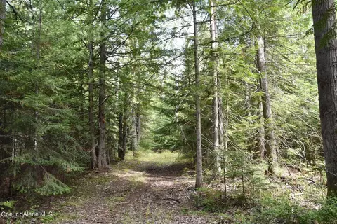 2755 Usfs Rd 2295, Clark Fork, ID 83811 photo 41