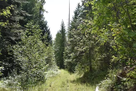 2755 Usfs Rd 2295, Clark Fork, ID 83811 photo 30