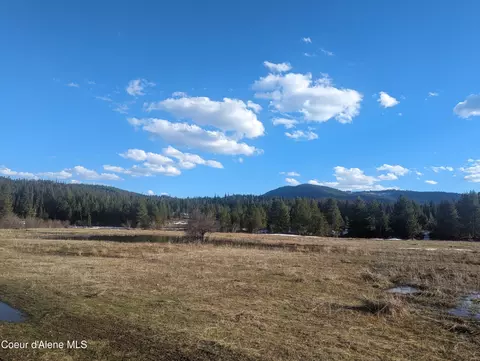 Nka 40 Acres W. Fork Emerald Crk, Fernwood, ID 83830