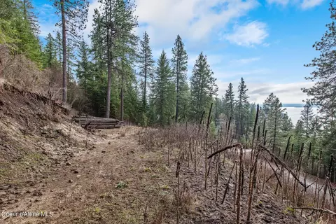 Nka S Edgewater Dr, Harrison, ID 83833 photo 6
