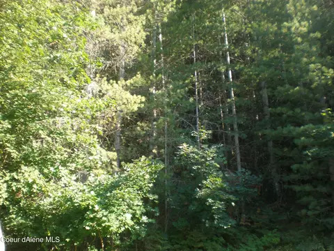 413 Main Wardner St, Kellogg, ID 83837 photo 15