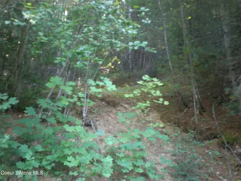413 Main Wardner St, Kellogg, ID 83837 photo 21