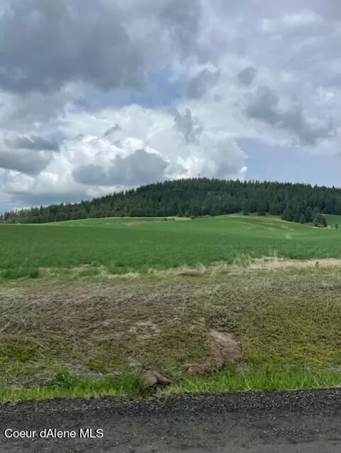 L2 Ba Sunny Slopes Road, Worley, ID 83876