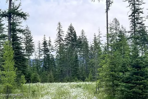 Lot6 Blk2 Leonard Loop, Athol, ID 83801 photo 7
