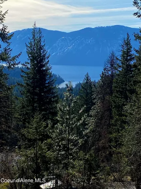 View/Area - 255 Baylen View Dr, Sagle, ID 83860 photo 1 of 2